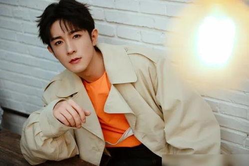 杨幂汪峰最新爆料视频,揭秘娱乐圈背后的真相  第2张