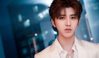 爆料蔡徐坤事件视频下载,揭秘背后真相与争议  第1张